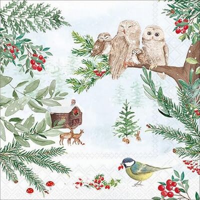 Ambiente Lot de 20 serviettes en papier avec motif hiboux regardant la cabane d'hiver Serviettes en papier avec motif Conviennent également pour le découpage et la technique des serviettes 33 x 33 cm - Publicité Ambiente Lot de 20 serviettes en papier avec motif hiboux regardant la cabane d'hiver Serviettes en papier avec motif Conviennent également pour le découpage et la technique des serviettes 33 x 33 cm - Publicité