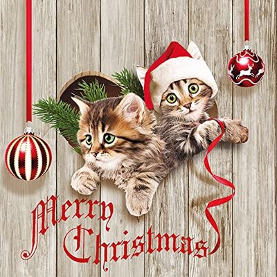 Ambiente Lot de 20 serviettes de table pour chat Motif chat Pour l'hiver Décoration de table Fête Artisanat Découpage Technique de serviettes 33 x 33 cm - Publicité Ambiente Lot de 20 serviettes de table pour chat Motif chat Pour l'hiver Décoration de table Fête Artisanat Découpage Technique de serviettes 33 x 33 cm - Publicité