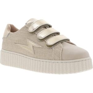 Vanessa Wu Summer BK2650OR2, Basket 37 EU - Publicité Vanessa Wu Summer BK2650OR2, Basket 37 EU - Publicité