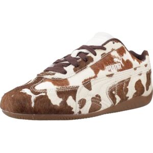 Puma Yellow Speedcat Cow WNS Brown 39 EU - Publicité Puma Yellow Speedcat Cow WNS Brown 39 EU - Publicité