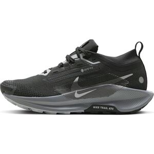 Nike Pegasus Trail 5 Gore-Tex Chaussures Trail Femme - Publicité Nike Pegasus Trail 5 Gore-Tex Chaussures Trail Femme - Publicité