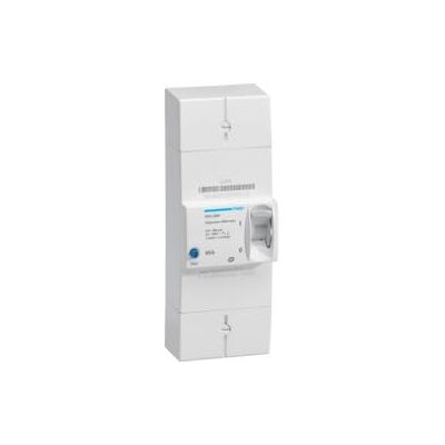 Hager Disjoncteur de branchement bipolaire Instantané 60A HDA260F - Publicité Hager Disjoncteur de branchement bipolaire Instantané 60A HDA260F - Publicité