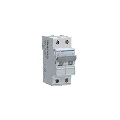 Hager disjoncteur 2 pôles 10a 6ka courbe c vis / vis - Publicité Hager disjoncteur 2 pôles 10a 6ka courbe c vis / vis - Publicité