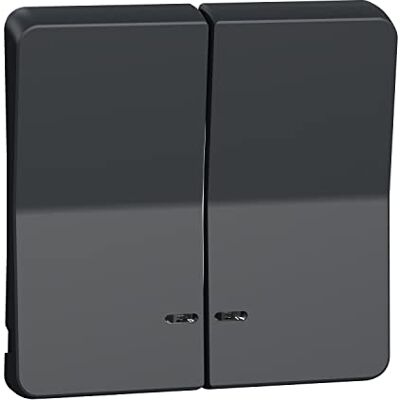 Schneider Electric Mureva Styl Enjoliveur 2 demi touche IP55 IK08 gris MUR34205 - Publicité Schneider Electric Mureva Styl Enjoliveur 2 demi touche IP55 IK08 gris MUR34205 - Publicité