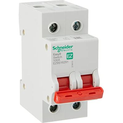 Schneider Electric EZ9S16291 Easy9 Disjoncteur 2P 100 A 400 V 50/60 Hz Gris - Publicité Schneider Electric EZ9S16291 Easy9 Disjoncteur 2P 100 A 400 V 50/60 Hz Gris - Publicité