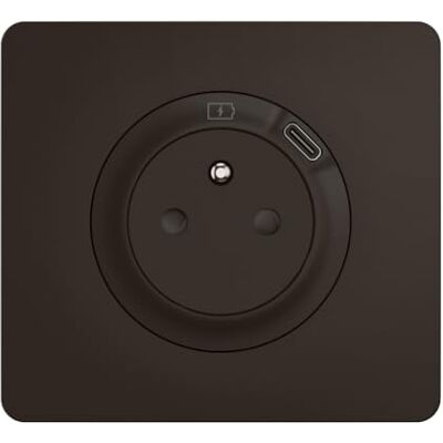 Legrand Prise Electrique Murale avec Terre Céliane Surface avec Prise Chargeur USB 7,5W intégré + Plaque- Prise Affleurante avec Socle Rétractable Noir - Publicité Legrand Prise Electrique Murale avec Terre Céliane Surface avec Prise Chargeur USB 7,5W intégré + Plaque- Prise Affleurante avec Socle Rétractable Noir - Publicité