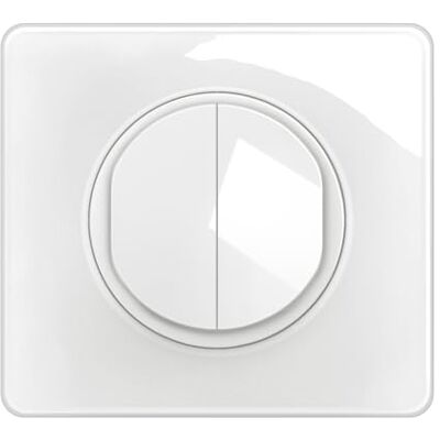 Legrand Interrupteur Double ou Va-et-vient Lumineux + Plaque Céliane 10A Commande d'Eclairage Complète Prêt à Installer Blanc - Publicité Legrand Interrupteur Double ou Va-et-vient Lumineux + Plaque Céliane 10A Commande d'Eclairage Complète Prêt à Installer Blanc - Publicité