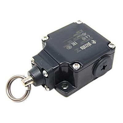 PIZZATO ELETTRICA FL 576 Interrupteur terminal anneau NO + NC 10A max.400VAC PG13,5 PIZZATO ELETTR - Publicité PIZZATO ELETTRICA FL 576 Interrupteur terminal anneau NO + NC 10A max.400VAC PG13,5 PIZZATO ELETTR - Publicité