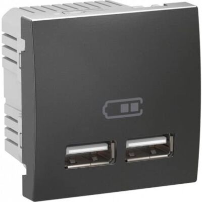 Schneider Electric MGU3.418.12 Chargeur double USB 2.1 A Graphite - Publicité Schneider Electric MGU3.418.12 Chargeur double USB 2.1 A Graphite - Publicité