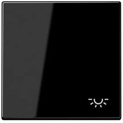 Jung LS990LSW Touche Simple avec Symbole lumière, Durable laqué, Noir - Publicité Jung LS990LSW Touche Simple avec Symbole lumière, Durable laqué, Noir - Publicité