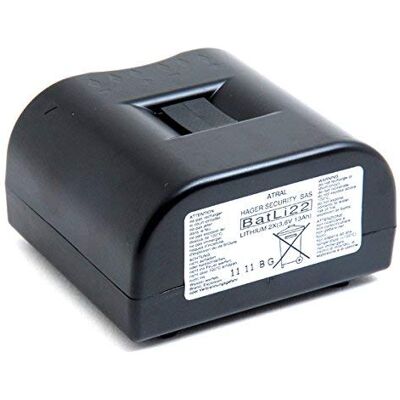 Hager Daitem Pile alarme DAITEM BATLI22 3.6V 13Ah Pile(s) - Publicité Hager Daitem Pile alarme DAITEM BATLI22 3.6V 13Ah Pile(s) - Publicité