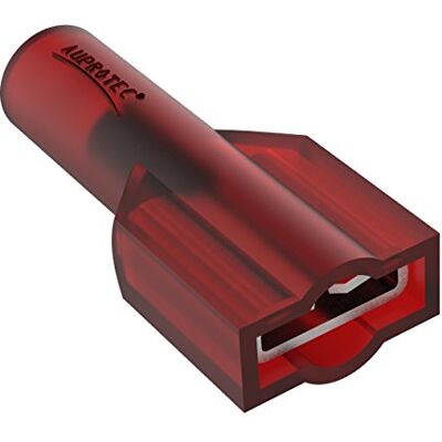 AUPROTEC Lot de 50 cosses plates entièrement isolées 0,5-1,5 mm² Rouge Connecteurs FDFNY En nylon isolé en cuivre étamé - Publicité AUPROTEC Lot de 50 cosses plates entièrement isolées 0,5-1,5 mm² Rouge Connecteurs FDFNY En nylon isolé en cuivre étamé - Publicité