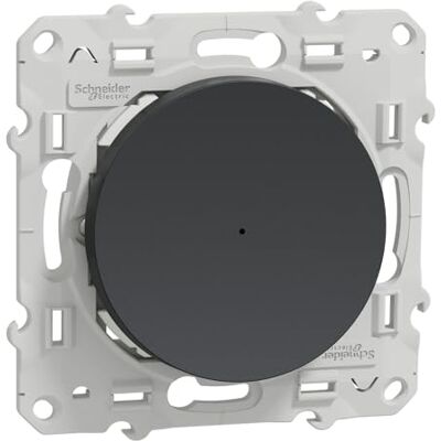 Schneider Electric S540530W Wiser Odace Bouton Poussoir 10A Zigbee Anthracite - Publicité Schneider Electric S540530W Wiser Odace Bouton Poussoir 10A Zigbee Anthracite - Publicité
