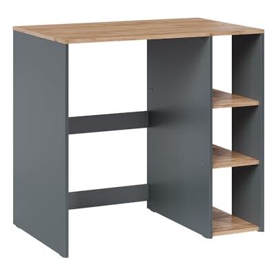 Vicco Armoire Machine à Laver Viktor, Anthracite/Chêne de Force doré, 93.6x88.2cm avec 2 étagères - Publicité Vicco Armoire Machine à Laver Viktor, Anthracite/Chêne de Force doré, 93.6x88.2cm avec 2 étagères - Publicité