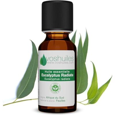 Voshuiles - Eucalyptus Radiata - 250ml - Huile essentielle - Publicité Voshuiles - Eucalyptus Radiata - 250ml - Huile essentielle - Publicité