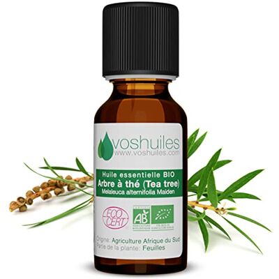 Voshuiles - Huile Essentielle D'Arbre À Thé - Bio - Essential Oil - Publicité Voshuiles - Huile Essentielle D'Arbre À Thé - Bio - Essential Oil - Publicité