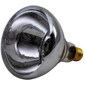 horizont Ampoule infrarouge IR 250 W claire - Publicité horizont Ampoule infrarouge IR 250 W claire - Publicité