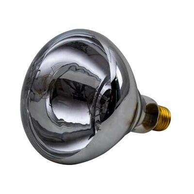 horizont Ampoule infrarouge IR 250 W claire - Publicité horizont Ampoule infrarouge IR 250 W claire - Publicité