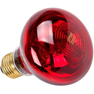 KMINA Ampoule Infrarouge 275W Chauffante, Culot E27, Rouge Rubis, 220-240V - Publicité KMINA Ampoule Infrarouge 275W Chauffante, Culot E27, Rouge Rubis, 220-240V - Publicité