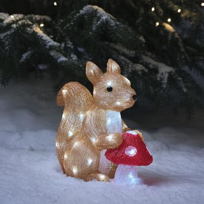 Lights4fun Écureuil Lumineux à Piles avec 40 LED Blanc et Minuterie Figurine de Noël en Acrylique de 32 cm Décoration d'Extérieur - Publicité Lights4fun Écureuil Lumineux à Piles avec 40 LED Blanc et Minuterie Figurine de Noël en Acrylique de 32 cm Décoration d'Extérieur - Publicité