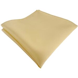 TigerTie Chiffon Satin Pochettes Chiffon dans Uni Uni – Polyester – Taille 26 x 26 cm Or Taille Unique - Publicité TigerTie Chiffon Satin Pochettes Chiffon dans Uni Uni – Polyester – Taille 26 x 26 cm Or Taille Unique - Publicité