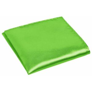 URAQT Hommes Mouchoirs carrés de poche, 30CM*30CM Hommes Satin Mouchoir Poche Carré Uni Coloré Mouchoir pour homme, Noël Fête, Mariage, Habillé Occasions,Vert Clair - Publicité URAQT Hommes Mouchoirs carrés de poche, 30CM*30CM Hommes Satin Mouchoir Poche Carré Uni Coloré Mouchoir pour homme, Noël Fête, Mariage, Habillé Occasions,Vert Clair - Publicité