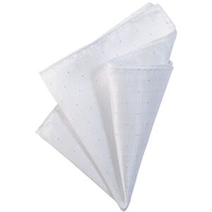 DonDon Pochette de costume avec à points argenté homme mouchoir 25 x 25 cm pour des occasions festives Blanc - Publicité DonDon Pochette de costume avec à points argenté homme mouchoir 25 x 25 cm pour des occasions festives Blanc - Publicité