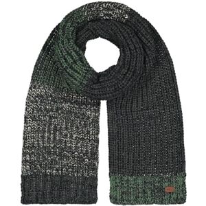 Barts Echarpe en Tricot Akotan Femme/Homme echarpe pour homme foulard femme Hiver automne-hiver taille unique vert - Publicité Barts Echarpe en Tricot Akotan Femme/Homme echarpe pour homme foulard femme Hiver automne-hiver taille unique vert - Publicité