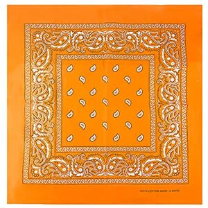 JOPHY & CO. Bandanas 100 % coton pour femme / homme / enfants, unisexe avec motif Paisley, mouchoir couvre-chef, écharpe pour cheveux / cou / poignet / tête COD., Citrouille., Taille Unique - Publicité JOPHY & CO. Bandanas 100 % coton pour femme / homme / enfants, unisexe avec motif Paisley, mouchoir couvre-chef, écharpe pour cheveux / cou / poignet / tête COD., Citrouille., Taille Unique - Publicité