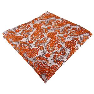 TigerTie Mouchoir Imprimé Cachemire Homme orange Taille Unique - Publicité TigerTie Mouchoir Imprimé Cachemire Homme orange Taille Unique - Publicité