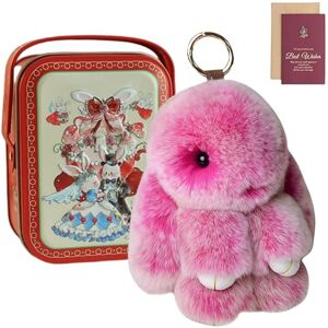 Knubbuf Cute Bunny Keychain in a Tin Box Fluffy Lop-Eared Rabbit Plush Keyring, Soft Faux Fur Bag Charm & Purse Accessory, Adorable Easter Birthday Gift for Women Girls (N) - Publicité Knubbuf Cute Bunny Keychain in a Tin Box Fluffy Lop-Eared Rabbit Plush Keyring, Soft Faux Fur Bag Charm & Purse Accessory, Adorable Easter Birthday Gift for Women Girls (N) - Publicité