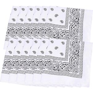Pluto & Fox Bandanas paisley Lot De 12PCS Fichu Mouchoir Unisexe,Bandeau de Cheveux,Echarpe de Cou,Décoration Rétro Style Multicolore&Même Couleur 100% De Polyester Unisexe Pour Homme Et Femme (Blanc) - Publicité Pluto & Fox Bandanas paisley Lot De 12PCS Fichu Mouchoir Unisexe,Bandeau de Cheveux,Echarpe de Cou,Décoration Rétro Style Multicolore&Même Couleur 100% De Polyester Unisexe Pour Homme Et Femme (Blanc) - Publicité