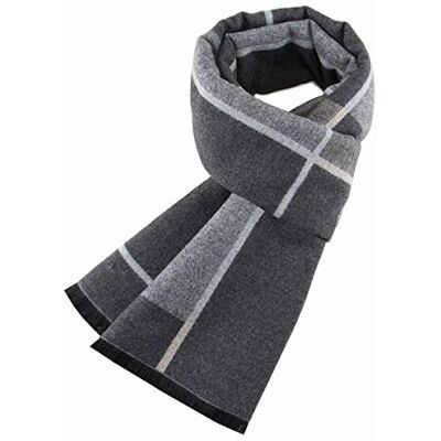 Ueither Écharpe Homme Longue Chaude Automne et Hiver Souple Confortable Foulard Tartan Écharpe (180cm x 30cm, Couleur 14) - Publicité Ueither Écharpe Homme Longue Chaude Automne et Hiver Souple Confortable Foulard Tartan Écharpe (180cm x 30cm, Couleur 14) - Publicité