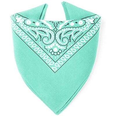 Karl Loven Bandana Jade 100% Coton Paisley Foulard Fichu Bandeau Tour de Cou Tête Echarpe Pastel Bracelet Homme Femme Enfant - Publicité Karl Loven Bandana Jade 100% Coton Paisley Foulard Fichu Bandeau Tour de Cou Tête Echarpe Pastel Bracelet Homme Femme Enfant - Publicité