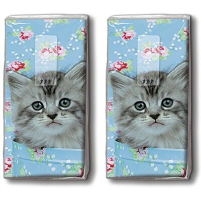 Taschentücher bedruckt 20 mouchoirs (2 x 10) en papier à motif de chats/animaux mignons Sac 2 couches Sans parfum Léger - Publicité Taschentücher bedruckt 20 mouchoirs (2 x 10) en papier à motif de chats/animaux mignons Sac 2 couches Sans parfum Léger - Publicité