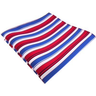TigerTie ohne Markenname pochette en rouge bleu blanc noir rayé tissu 100% Polyester - Publicité TigerTie ohne Markenname pochette en rouge bleu blanc noir rayé tissu 100% Polyester - Publicité