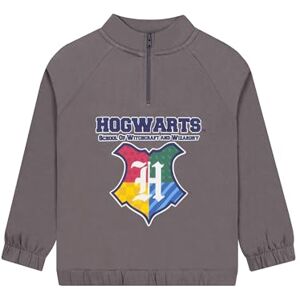 Harry Potter Pull avec Zip, Vêtements Garçon Hogwarts, Sweat Garçon Fermeture Eclair, Gris 7-8 Ans - Publicité Harry Potter Pull avec Zip, Vêtements Garçon Hogwarts, Sweat Garçon Fermeture Eclair, Gris 7-8 Ans - Publicité