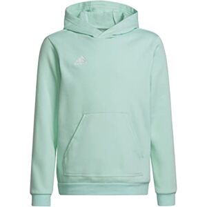 Adidas Unisex Kids Hoody Ent22 Hoody Y, Clemin, , 176 EU - Publicité