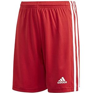 Adidas Garçon Squadra 21 Shorts, Team Power Red/White, 15-16 Years - Publicité Adidas Garçon Squadra 21 Shorts, Team Power Red/White, 15-16 Years - Publicité
