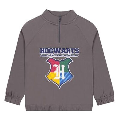 Harry Potter Pull avec Zip, Vêtements Garçon Hogwarts, Sweat Garçon Fermeture Eclair, Gris 8-9 Ans - Publicité Harry Potter Pull avec Zip, Vêtements Garçon Hogwarts, Sweat Garçon Fermeture Eclair, Gris 8-9 Ans - Publicité