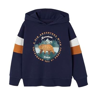 VERTBAUDET Sweat garçon à Capuche Motif placé Marine 14A - Publicité VERTBAUDET Sweat garçon à Capuche Motif placé Marine 14A - Publicité