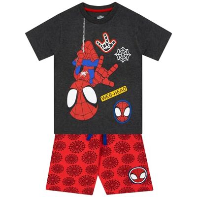 Marvel Vêtements Enfants Garçons Ensembles Garçon Spidey And His Amazing Friends Tee Shirt Spiderman Enfant Gris 5-6 Ans - Publicité Marvel Vêtements Enfants Garçons Ensembles Garçon Spidey And His Amazing Friends Tee Shirt Spiderman Enfant Gris 5-6 Ans - Publicité