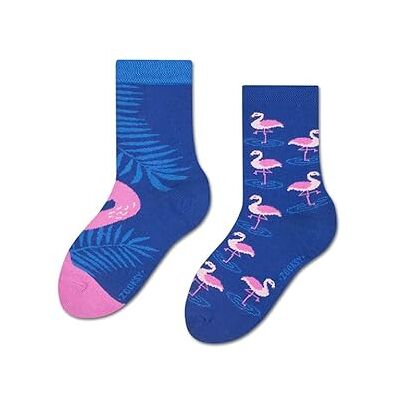 ZOOKSY Chaussettes d'été colorées pour enfants 1 paire MixTury I Chaussettes d'été colorées I Chaussettes longues en coton I Donut I 30-35 - Publicité ZOOKSY Chaussettes d'été colorées pour enfants 1 paire MixTury I Chaussettes d'été colorées I Chaussettes longues en coton I Donut I 30-35 - Publicité