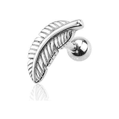 BlackAmazement Boucles d'oreilles cartilage tragus hélix en acier inoxydable 316L Plumes argentées dorées et noires Pour homme et femme, Acier inoxydable - Publicité BlackAmazement Boucles d'oreilles cartilage tragus hélix en acier inoxydable 316L Plumes argentées dorées et noires Pour homme et femme, Acier inoxydable - Publicité