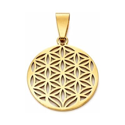 Felicidade Pendentif Fleur de Vie en Acier Inoxydable Symbole d'Harmonie et d'Énergie Positive Couleurs Argent et Doré Idéal pour Femme Bijou Élégant et plein de sens (Doré) - Publicité Felicidade Pendentif Fleur de Vie en Acier Inoxydable Symbole d'Harmonie et d'Énergie Positive Couleurs Argent et Doré Idéal pour Femme Bijou Élégant et plein de sens (Doré) - Publicité