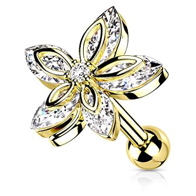 BlackAmazement Clous d'oreilles tragus hélix en acier inoxydable 316L Piercing d'oreille fleur 5 marquise CZ Oxyde de zirconium Rose Or argenté Femme, acier inoxydable, Oxyde de Zirconium - Publicité BlackAmazement Clous d'oreilles tragus hélix en acier inoxydable 316L Piercing d'oreille fleur 5 marquise CZ Oxyde de zirconium Rose Or argenté Femme, acier inoxydable, Oxyde de Zirconium - Publicité