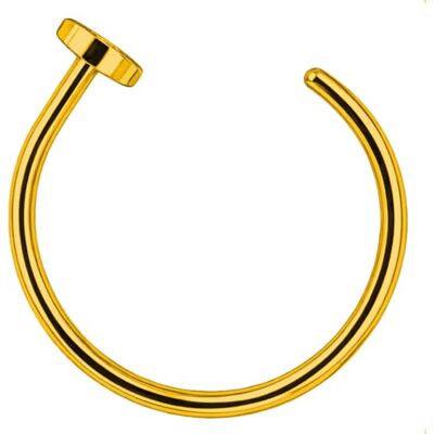 SoulCats Faux Piercing de nez Anneau de Nez Piercing Anneaux Fer à Cheval, or - Publicité SoulCats Faux Piercing de nez Anneau de Nez Piercing Anneaux Fer à Cheval, or - Publicité
