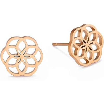 BlackAmazement Lot de 2 boucles d'oreilles en acier inoxydable 316L Motif fleur de vie Ornement de fleur de vie Noir/argenté/or rose Pour femme, Acier inoxydable - Publicité BlackAmazement Lot de 2 boucles d'oreilles en acier inoxydable 316L Motif fleur de vie Ornement de fleur de vie Noir/argenté/or rose Pour femme, Acier inoxydable - Publicité