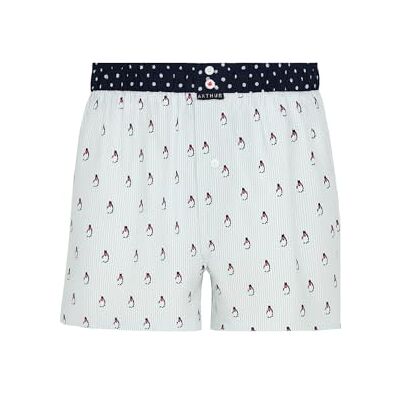 ARTHUR Caleçon Homme Motifs Pingouin Rayures Bleu Taille M - Publicité ARTHUR Caleçon Homme Motifs Pingouin Rayures Bleu Taille M - Publicité