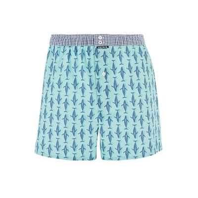 ARTHUR Caleçon Homme avec Maintien intégré 100% Coton Bio Confort et Soutien Optimal Motif Baleine Vert Turquoise Taille XXL - Publicité ARTHUR Caleçon Homme avec Maintien intégré 100% Coton Bio Confort et Soutien Optimal Motif Baleine Vert Turquoise Taille XXL - Publicité